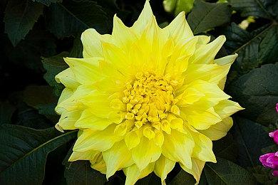 末日题材RTS《Incoming War》今日上线steam 发售时间暂定